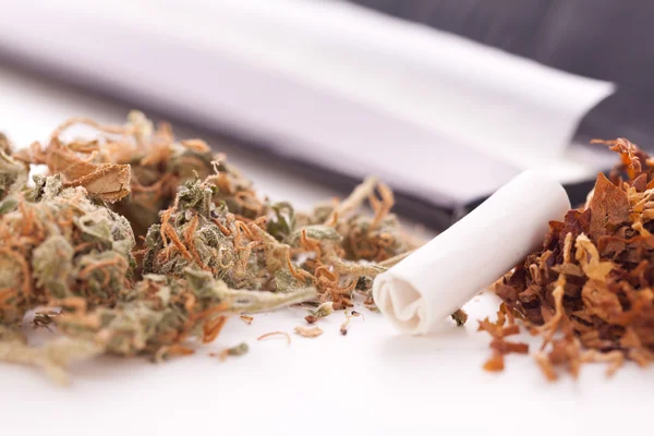 Torkad Cannabis på rullande papper med Filter — Stockfoto