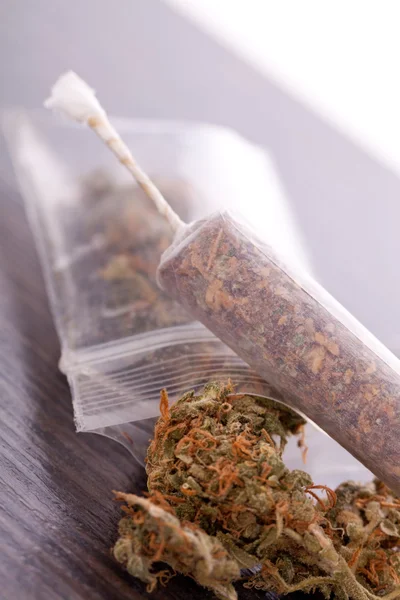 Närbild av torkad marijuana blad och gemensamma — Stockfoto