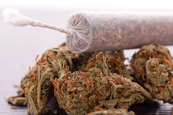 Cierre de hojas de marihuana seca y articulación — Foto de Stock