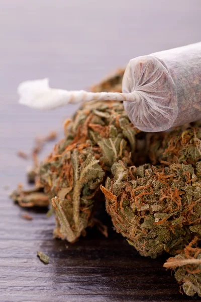 Close up van de marihuana van de gedroogde bladeren en gezamenlijke — Stockfoto