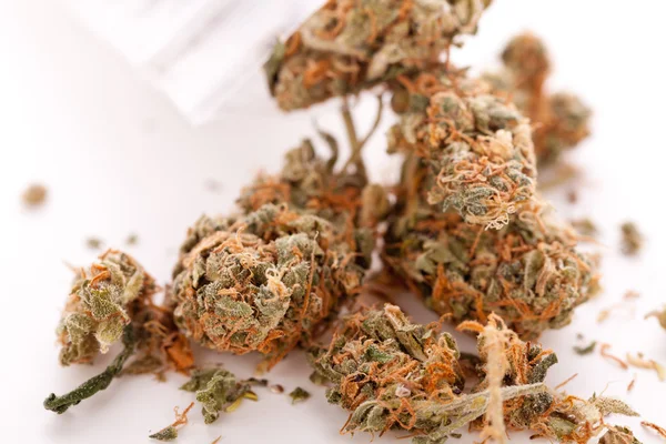 Uzavřít se sušené listy marihuany na stůl Stock Snímky