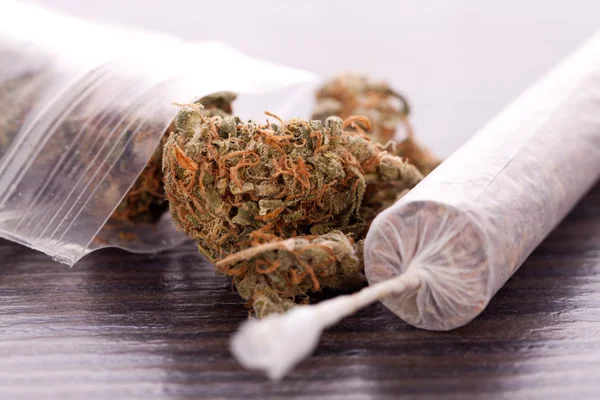 Detail listů sušenou marihuanu a spoj Stock Obrázky