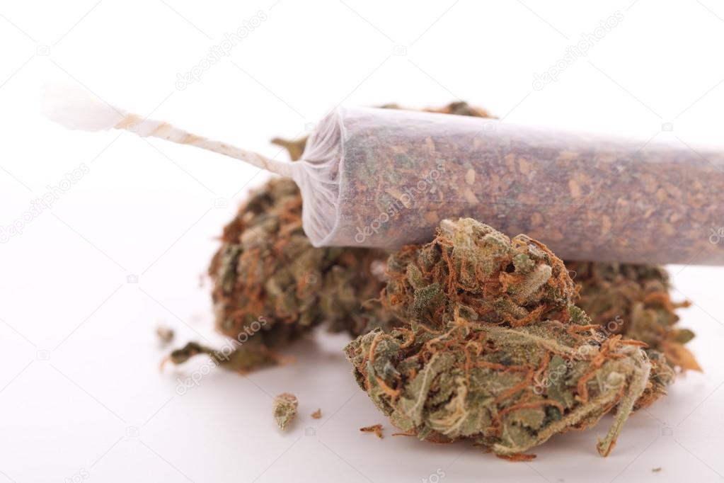 Close up of dried marijuana leaves and joint