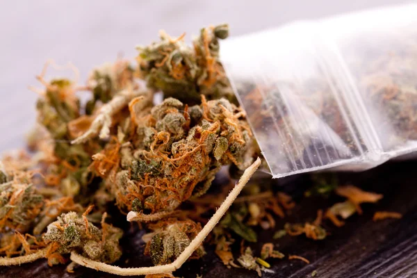 Uzavřít se sušené listy marihuany na stůl — Stock fotografie