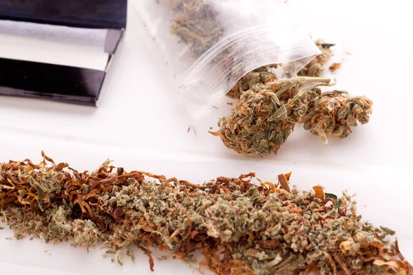 Gedroogde Cannabis op vloeipapier met Filter — Stockfoto
