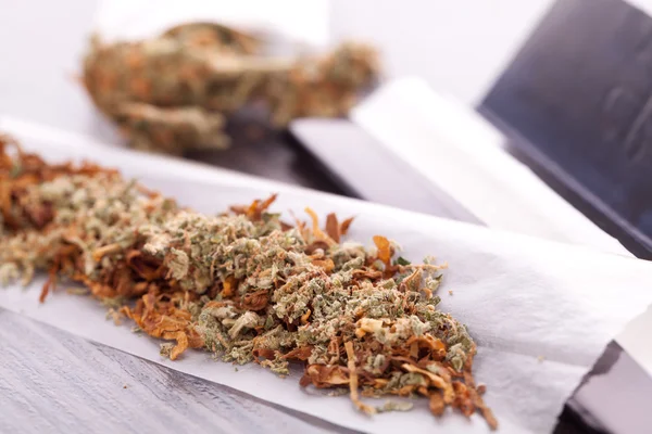 Cannabis essiccata su carta arrotolata con filtro — Foto Stock