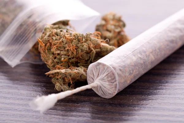 Close up van de marihuana van de gedroogde bladeren en gezamenlijke — Stockfoto