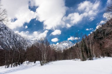 Kış dağı manzarası. Sulakhat ve dibindeki karışık orman. Dombai kayak merkezi, Karachaevo-Cherkessia, Kafkasya dağları, Rusya.