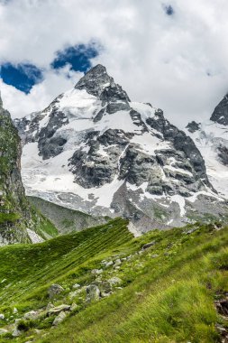 Dağlık çayır ve kayalık Dzhan Tugan dağı karlı zirvesiyle. Güneşli bir günde Büyük Kafkasya Dağları.