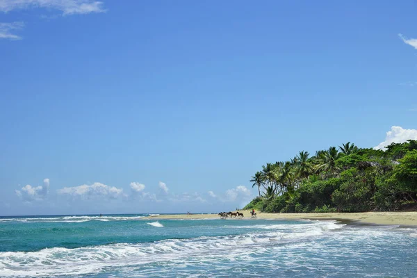 Praia Selvagem Bonita Com Água Azul Turquesa Clara Areia Palmas — Fotografia de Stock