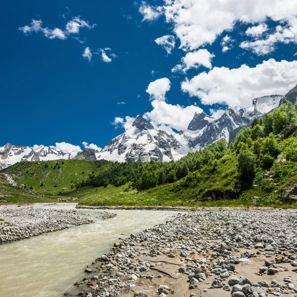 Karlı dağlara ve mavi gökyüzüne karşı küçük, pürüzlü bir nehirle yazlık dağ manzarası. Rus Kafkasya, Elbrus bölgesi.