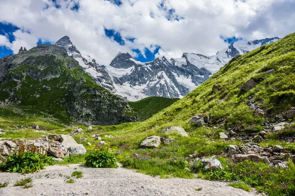 Rusya Kafkasya 'nın karlı, odunsu dağlarıyla ve dibindeki küçük nehirle yaz manzarası..