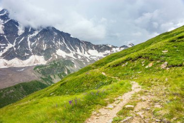 Yaz otlağında gezinti rotası. Daha büyük Kafkas Dağları, Rusya.