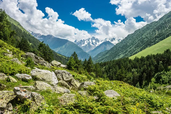 Sommar Bergslandskap Med Stor Kaukasus Range Horisonten Irik Gorge Kaukasus — Stockfoto