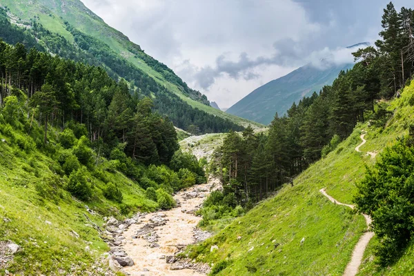 Sommar Bergslandskap Med Tallskog Och Liten Grov Flod Molnigt Väder — Stockfoto