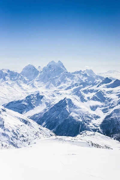 Χιονισμένο Χειμώνα Μεγαλύτερη Καύκασο Βουνά Ushba Ηλιόλουστη Μέρα Θέα Από — Φωτογραφία Αρχείου