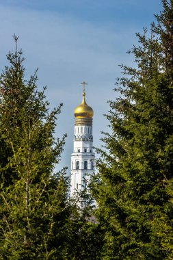 Zaryadye Parkı manzarası. Firavun koruluğu güneşli bir günde Büyük Çan Kulesi İvan 'a karşı.