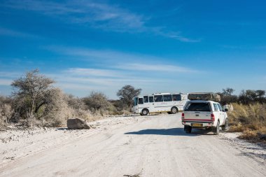 ETOSHA Ulusal Parkı, NAMIBIA - 12 Ağustos 2015. Etosha 'da oyun sürüşü: turistler ve siyah gergedan yolda.