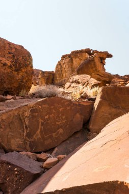 Lion Plate with Lion Man and other bushman pre historik rock gravürleri Twyfelfontein, Namibia