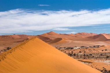 Büyük Baba kumulunun mavi gökyüzünün altındaki Sossusvlei kumullarının panoramik görüntüsü. Namib Naukluft Ulusal Parkı, Namibya.