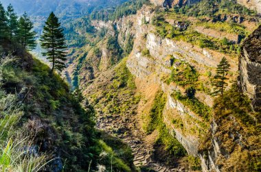Nepal, Marshyangdi nehir vadisindeki sonbahar dağ manzarası. Dik yamaçta çam ağaçları.