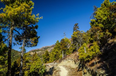 Güneşli bir sabahta Yukarı Pisang ve Ghyaru köyleri arasında bir güzergah. Marshyangdi nehir vadisi, Annapurna çevre yürüyüşü, Nepal.