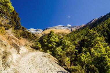 Güneşli bir sabah Pisang ve Ghyaru köyleri arasında yol alırken ufukta Pisang zirvesi görünüyor. Marshyangdi nehir vadisi, Annapurna çevre yürüyüşü, Nepal.
