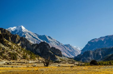 Bhraka (Braga) köyü yakınlarındaki Marshyangdi nehir vadisi. Annapurna gezisi, Nepal.
