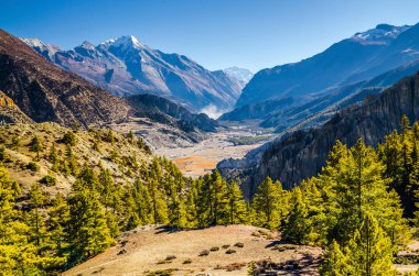 Güneşli bir günde Manang köyü yakınlarındaki Marshyangdi nehri vadisi ufuk çizgisinde Pisang zirvesi. Gangapurna Tal, Annapurna çevre yürüyüşü, Nepal.