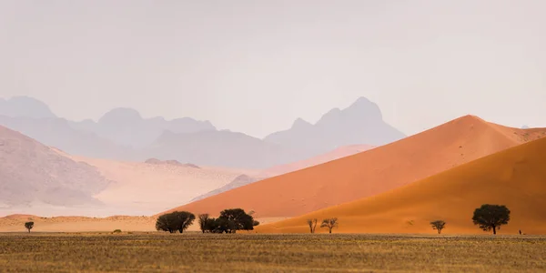 Rode Sossusvlei Duinen Tegen Naukluft Bergen Panoramisch Landschap Van Sossusvlei — Stockfoto