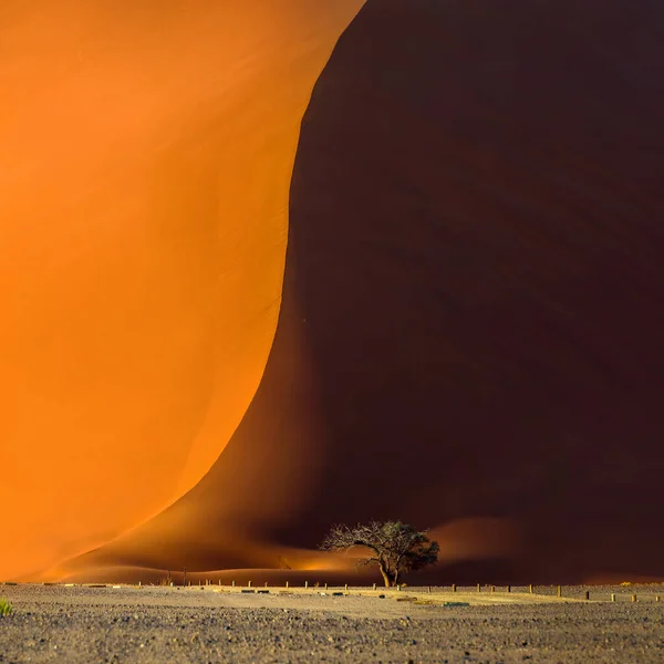 Berühmte Rote Düne Und Akazienbaum Fuße Davon Sonnenaufgang Sossusvlei Namib — Stockfoto