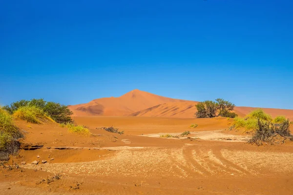 Rode Sossusvlei Duinen Beroemde Reisbestemming Namibië Onder Blauwe Hemel Zonnige — Stockfoto