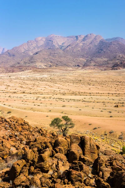 Panoramisch Uitzicht Brandberg Bergketen Van White Lady Lodge Namibië Afrika — Stockfoto
