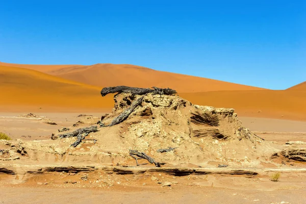 침식은 과푸른 하늘에 지질학적 형성이다 Deadvlei Sossusvlei Dunes Namib Naukluft — 스톡 사진