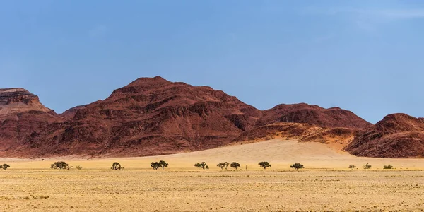 Bela Paisagem Desértica Nas Montanhas Naukluft Sossusvlei Namib Naukluft National — Fotografia de Stock