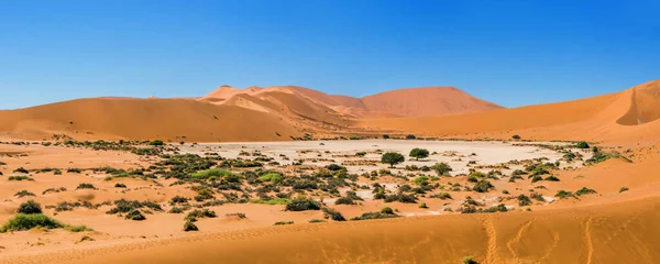 Güneşli bir günde Sossusvlei kumullarında yeşil ağaçlar, çimenler ve çalılarla kaplı küçük bir çöl beyaz kil tavası. Namib Naukluft Ulusal Parkı, Namibya.