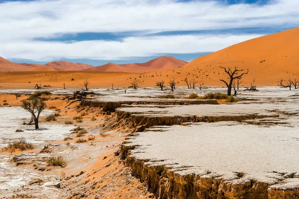 가뭄으로 뒤에는 나무와 갈라지게 되었습니다 Deadvlei Sossusvlei — 스톡 사진