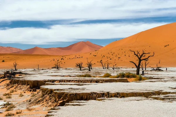 Kuraklık Arka Planda Ölü Ağaçlar Kum Tepeleriyle Karaya Vurdu Deadvlei — Stok fotoğraf