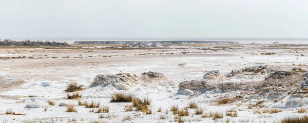 Güneşli kış gününde Etosha Pan 'ın panoramik manzarası. Etosha Milli Parkı, Namibya, Afrika.