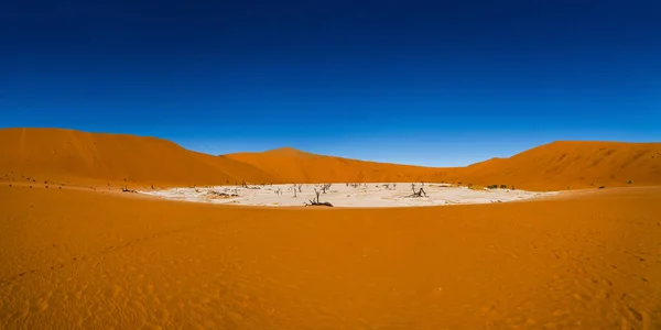 Vista Panorámica Del Desierto Namib Duna Deadvlei Big Daddy Sossusvlei — Foto de Stock