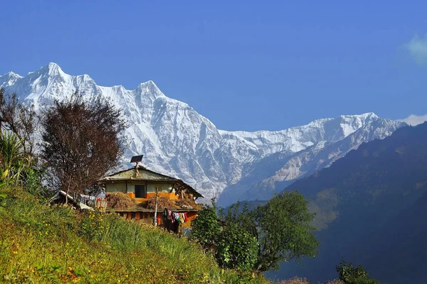Nepal Kırsal Yaşam Himalayalar Önündeki Muri Köyünde Geleneksel Bir Nepal — Stok fotoğraf