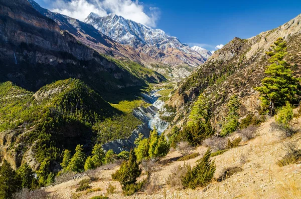 Ovanifrån Marshyangdi Floddal Annapurna Krets Vandring Nepal — Stockfoto