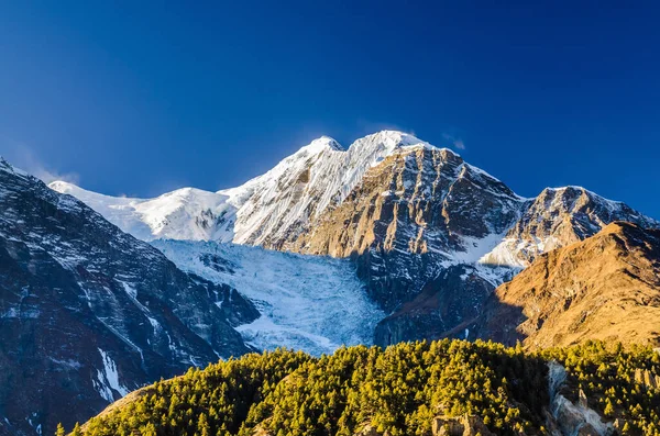 Gangapurna buzulu ve zirvesi. Annapurna gezisi, Nepal.