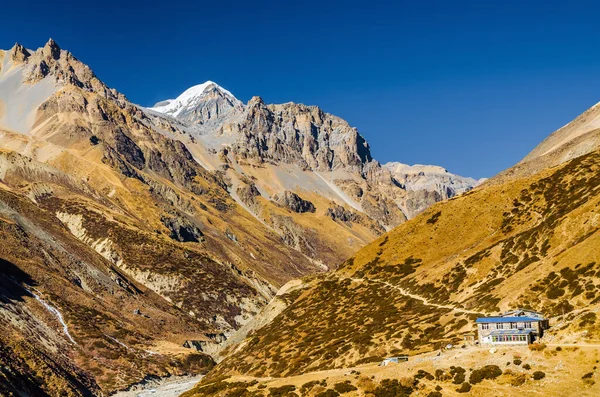 Himalaya 'nın Ledar (Chuli Ledar) köyünde sonbahar güneşli günlerinde ufukta Thorung zirvesi görülür. Annapurna Gezisi, Nepal.