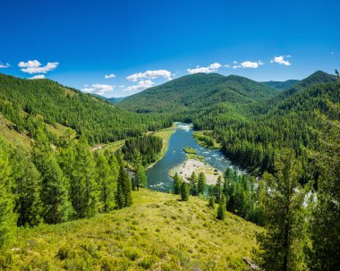 Sibirya yazı dağ manzarası. Balyiktyig hem nehri ve Sayan dağları güneşli bir günde tayga ormanlarıyla kaplı..