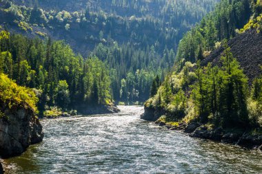 Kanyonda akan Sibirya Balyiktyig hem nehri. Sayan dağlarının sabah manzarası, Sibirya, Rusya.