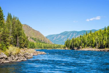Sibirya dağ nehri Küçük Yenisei yaz güneşli bir günde.