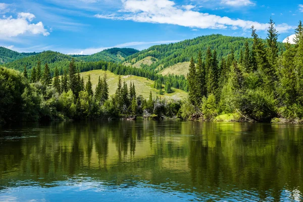 Masih Ada Sungai Pegunungan Sayan Musim Panas Yang Cerah Siberia — Stok Foto