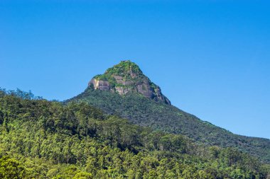 Güneşli bir günde tepesinde orman olan Büyük Adem Tepesi (Sri Pada). Dalhousie köyünden görüntü, Sri Lanka.
