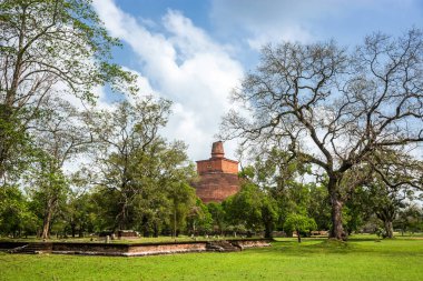 Anuradhapura kalıntıları, antik Sri Lanke başkenti ve Jetavaranama dagoba.
